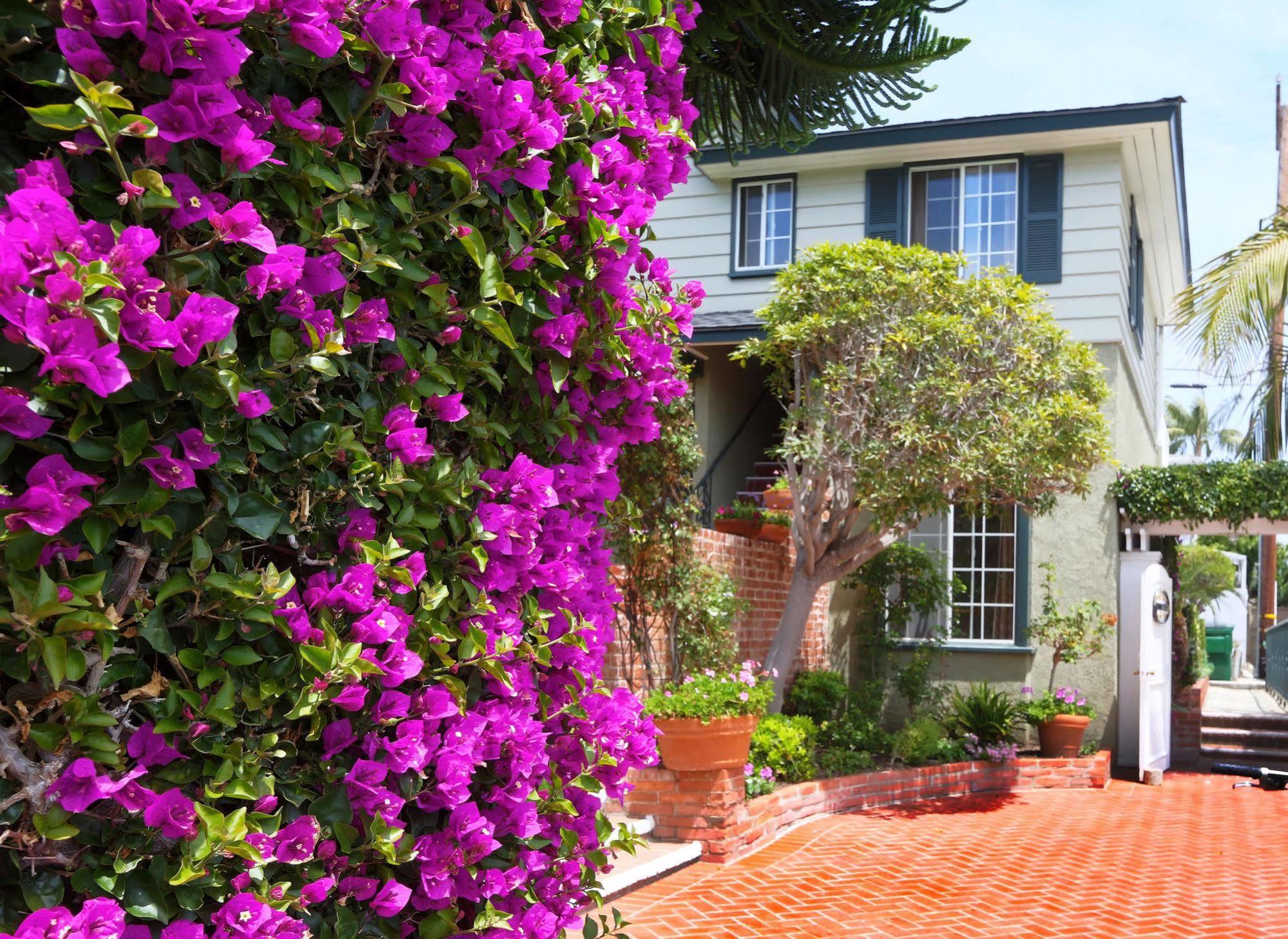 Hotel Joaquin (Adults Only) Laguna Beach Ngoại thất bức ảnh